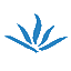 pixabay